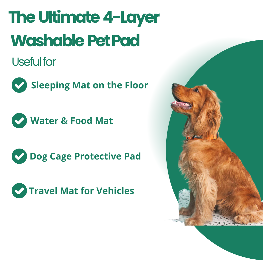 Healio Pet Pee Pad